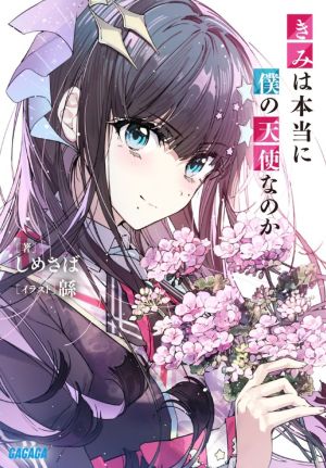 きみは本当に僕の天使なのか.jpg