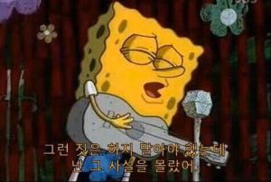 그런짓은하지말아야.jpg