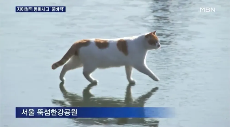 파일:꽁꽁얼다.png