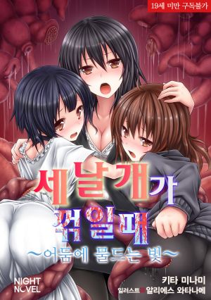 세날개가꺾일때.jpg