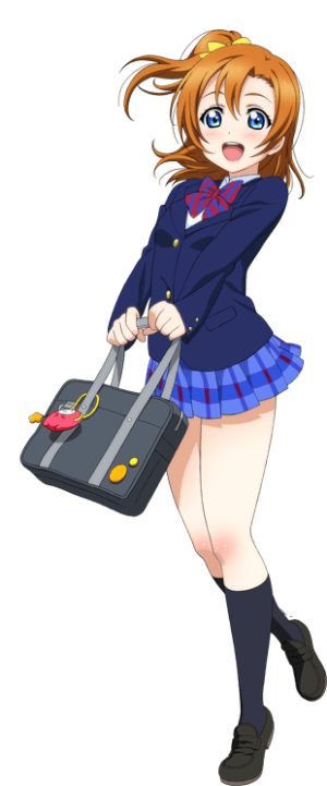 코우사카호노카.png