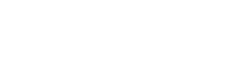 파일:SRT.png
